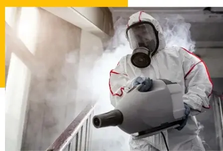 Schaedlingsbekaempfung Bonn – Schnell, HACCP-Zertifiziert & zum Festpreis